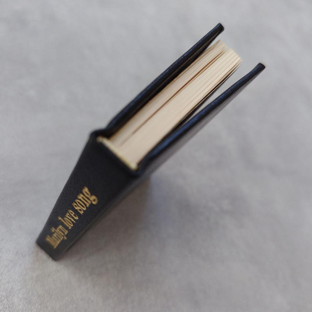 Marilyn love song（マリリン・ラヴ・ソング）　限定特装版