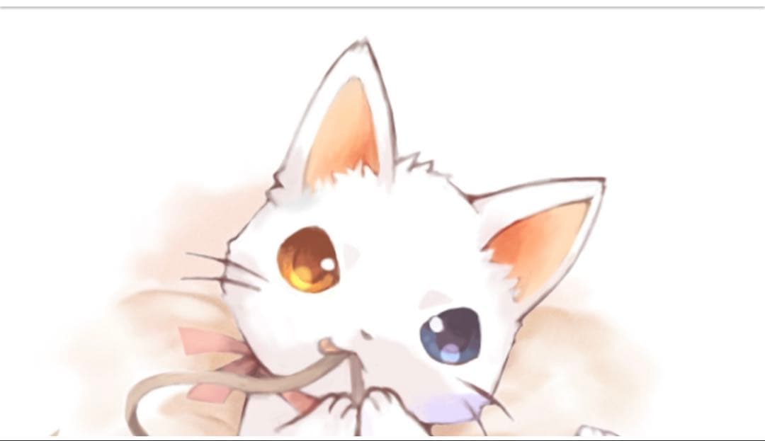 さっちゃん様　オーダー専用　ページ