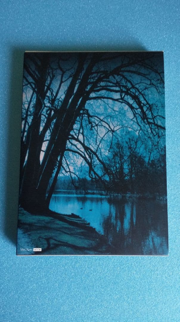 Moi dix Mois Invite to Immortality 初回 美品