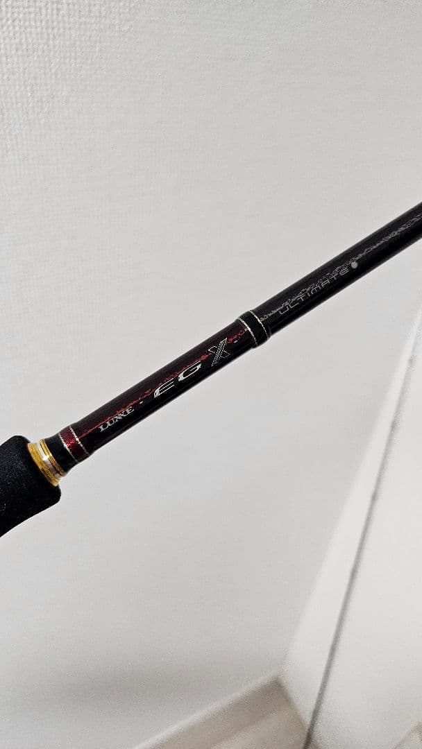 ラグゼ　EGX　アルティメイト　S82ML-solid