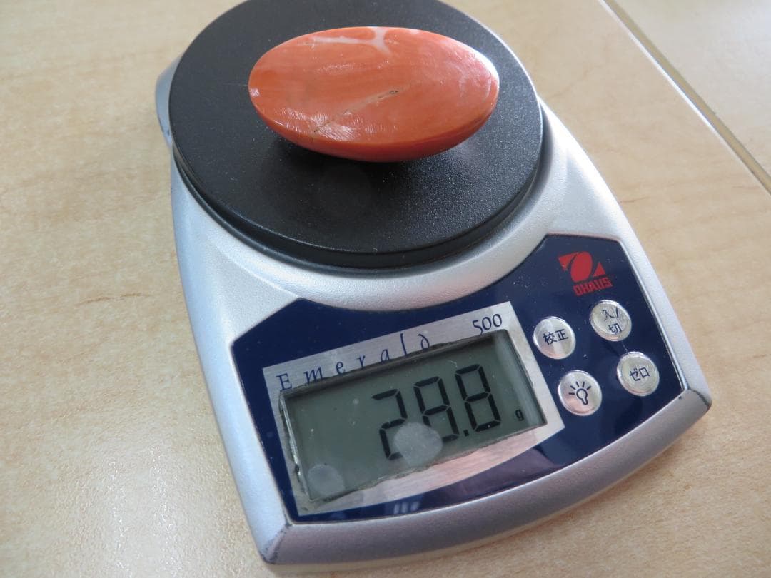 珊瑚サンゴ　帯留め外し石　特大裸石ルース　28.8ｇ　約144ct