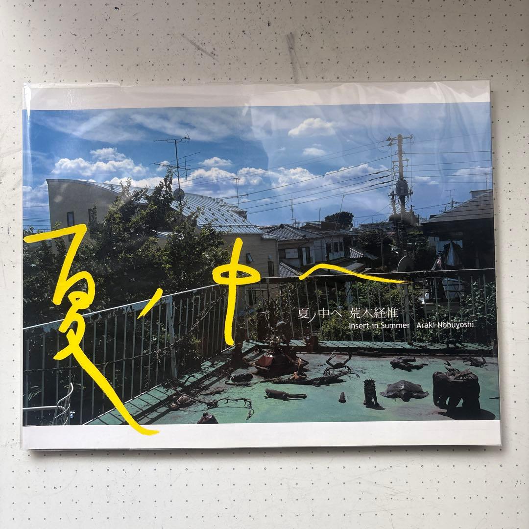 夏の中へ　荒木経惟