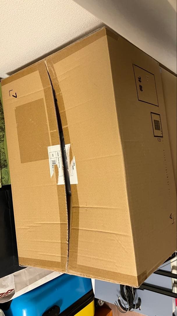 ゼルダの伝説 ティアーズオブザキングダム Collector's Edition