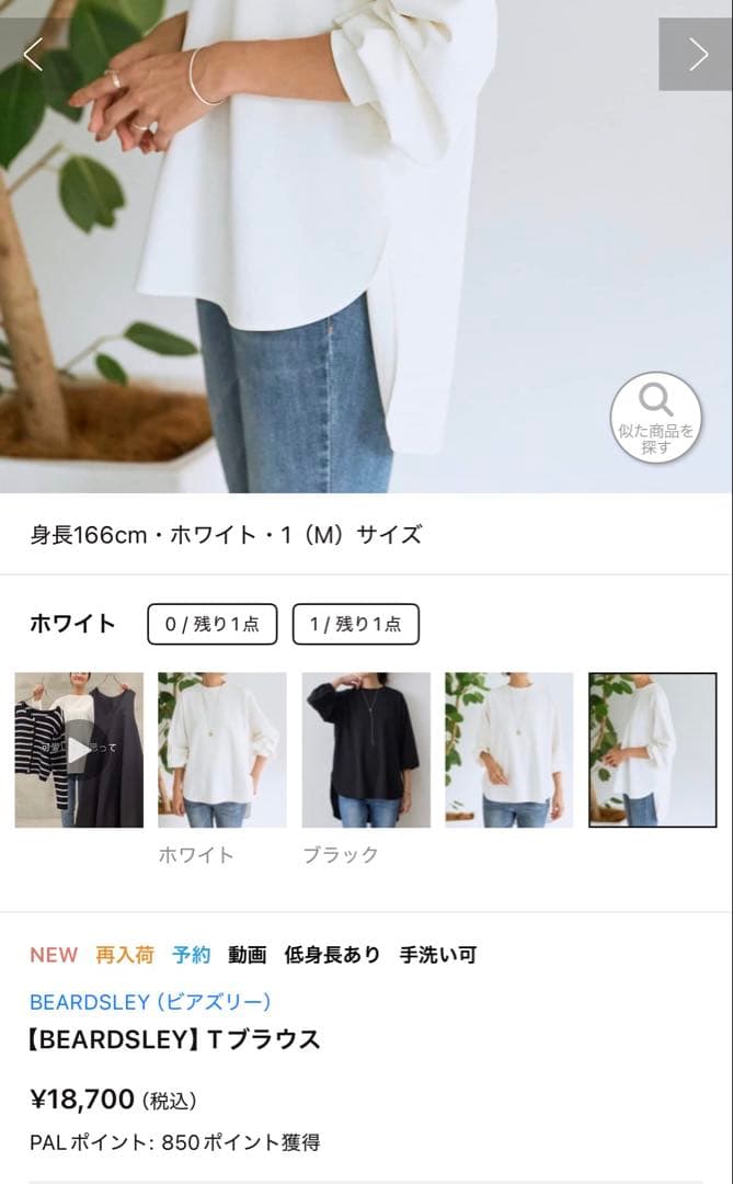 BEARDSLEY Tブラウス　サイズ1（試着のみ）