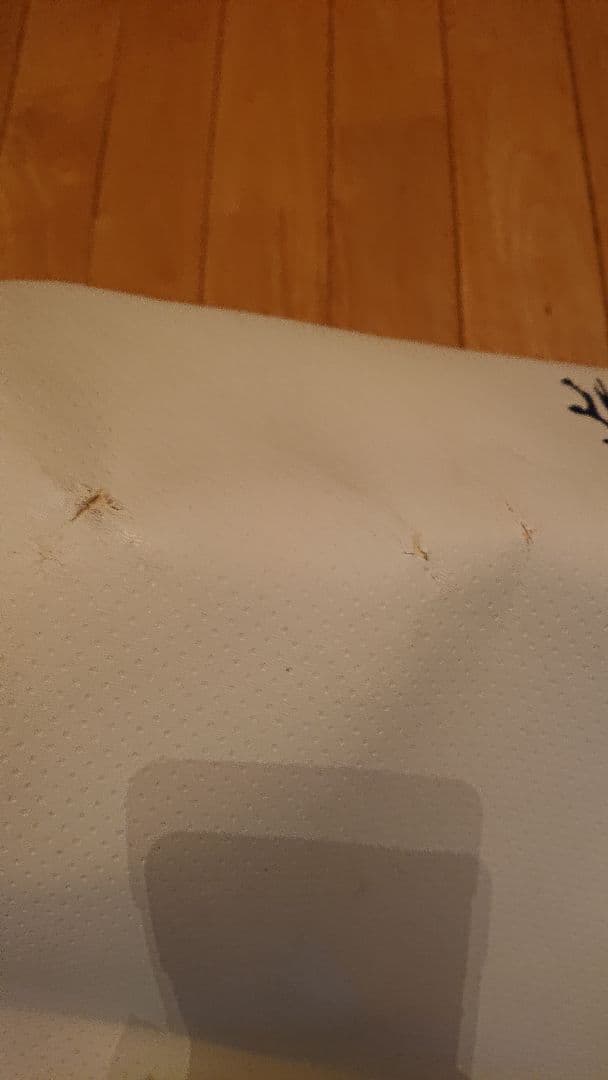 Cobra キャディバッグ ホワイト/グリーン