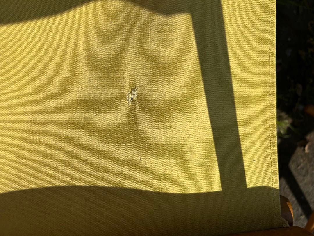 テレスコープ ビンテージ イエロー ディレクターズチェア 2脚セット