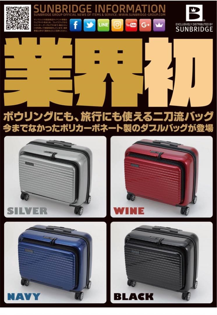 2ボールバッグ　ブランズウィック・サンブリッジ　ダブル・プロテクトバッグ