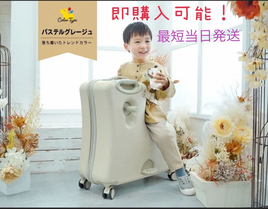 即購入可！☆8月8日～一時的に停止します☆ノリッコ　パステルグレージュ