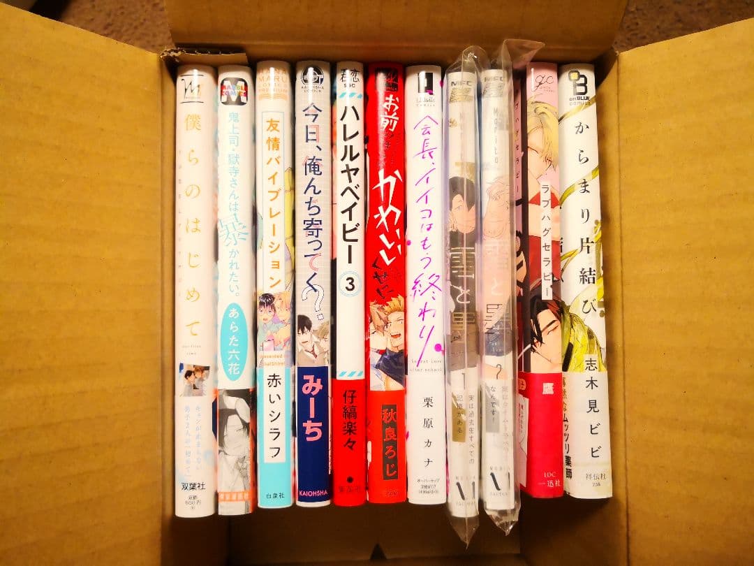 計16冊特典追記あり⭐ BLコミック　商業BL　漫画　まとめ売り　バラ売り⭕