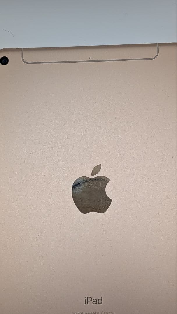 【セルラー】iPad mini 5 64GB ゴールド docomo 本体のみ