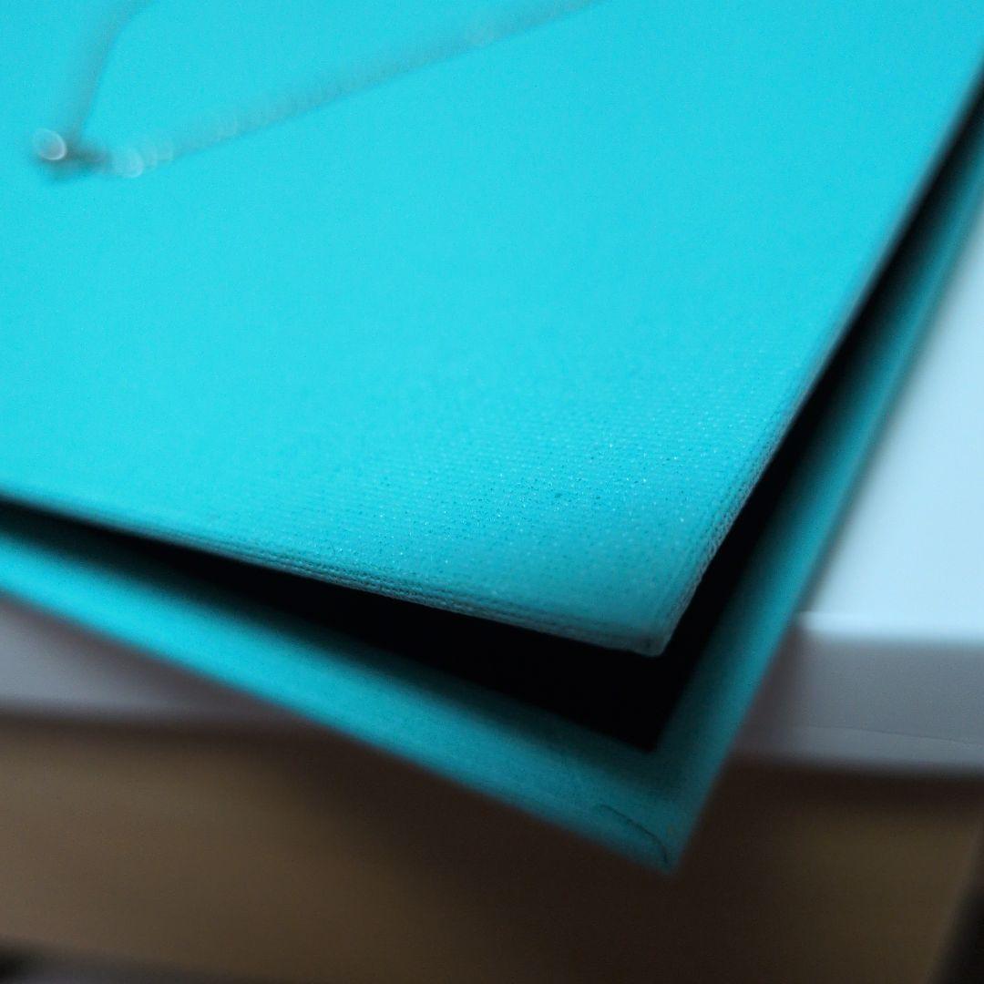 Polo様　極美品ティファニーバイザヤードネックレス0.38ct 鑑定書プラチナ