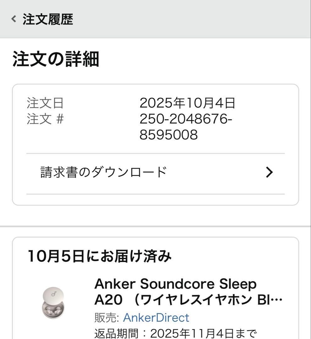 Anker Soundcore Sleep A20 ワイヤレスイヤホン