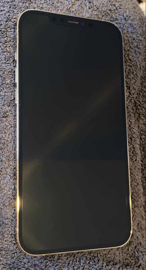 【早い者勝ち】美品iPhone12Promax 256GB ゴールド　シムフリー