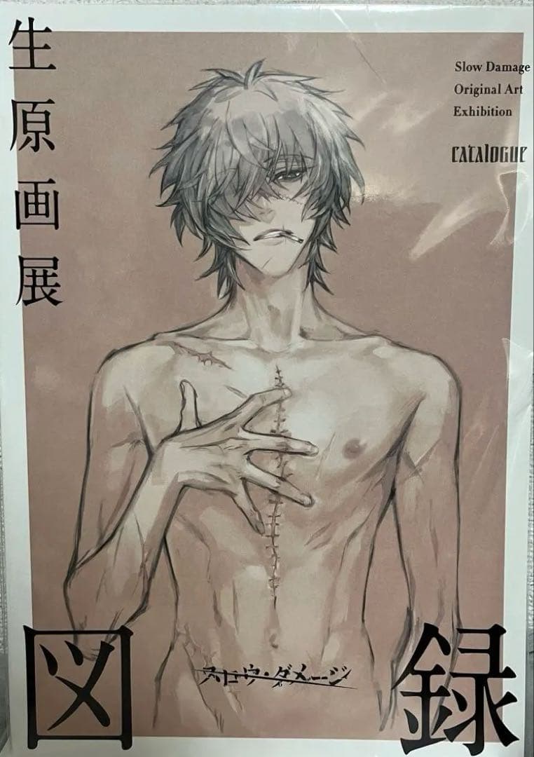 スロウ・ダメージ　生原画展　図録　スロダメ Slow Damage