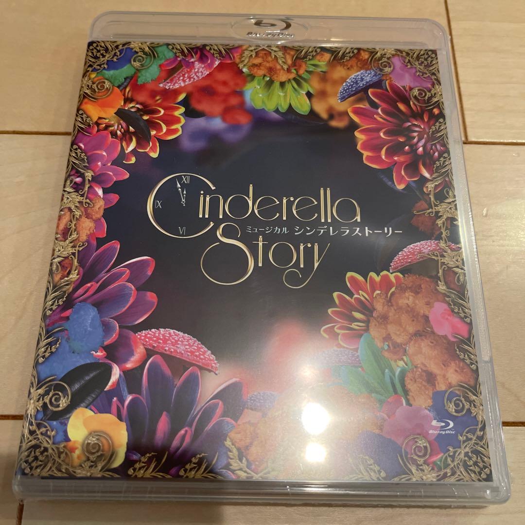 シンデレラストーリーブルーレイ佐藤アツヒロ　Rin Mizushima Ver.