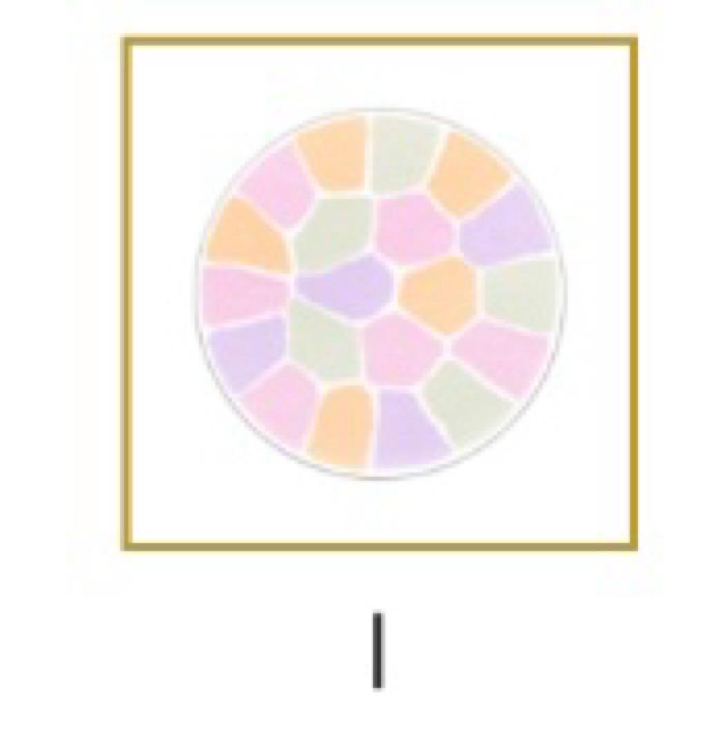 ‼️未開封‼️エレガンスラプードルオートニュアンスリクスィーズⅠ27g (レフィル)