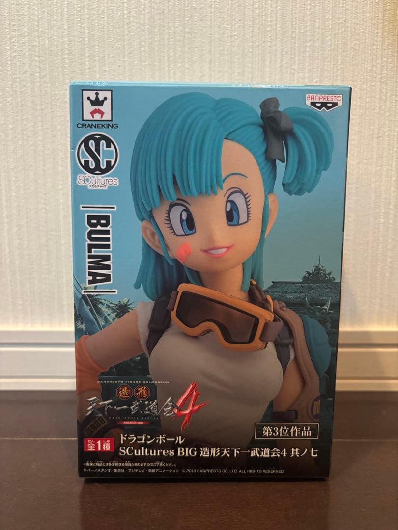 造形天下一武道会　ブルマ