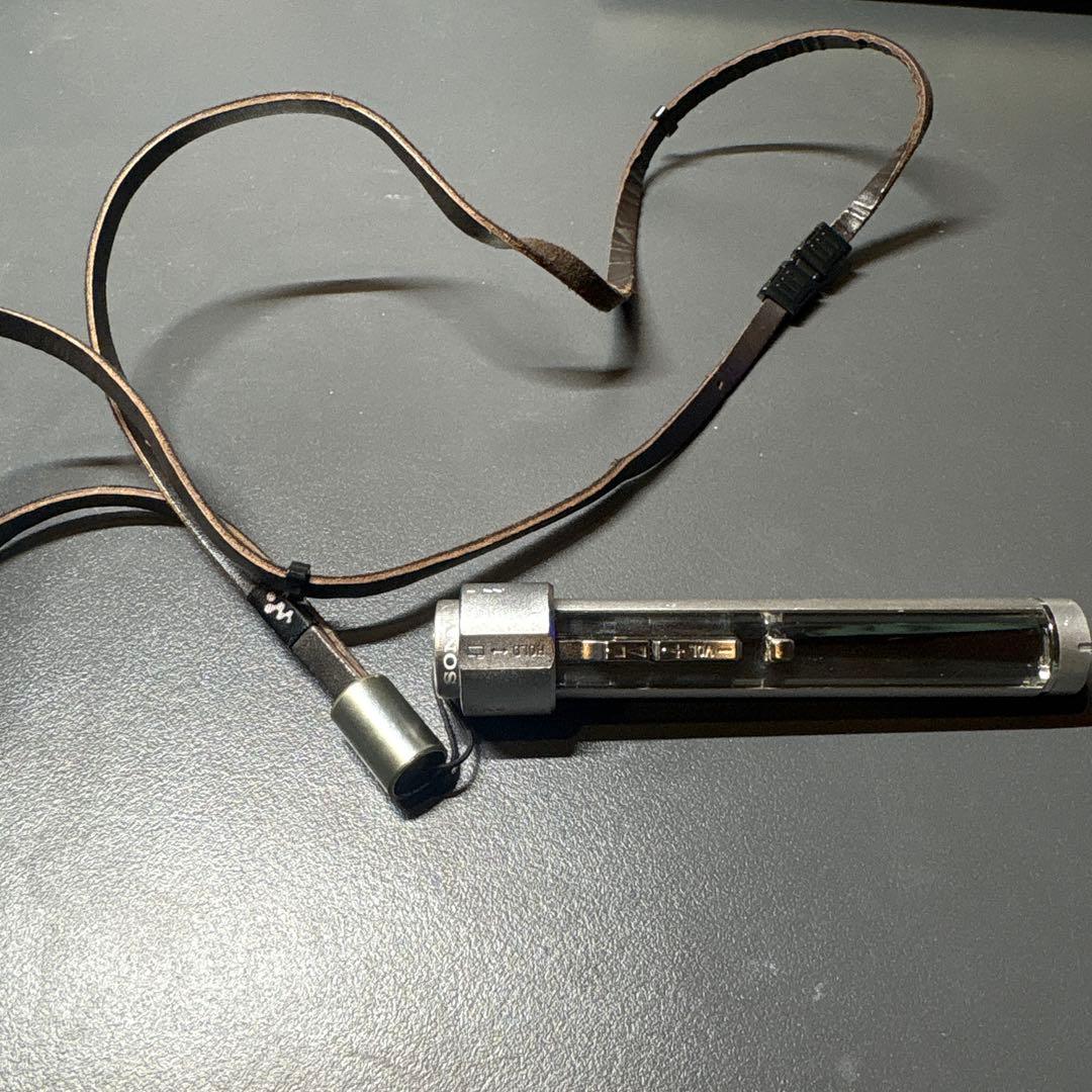 MP3 ウォークマン　SONY NW-S203F