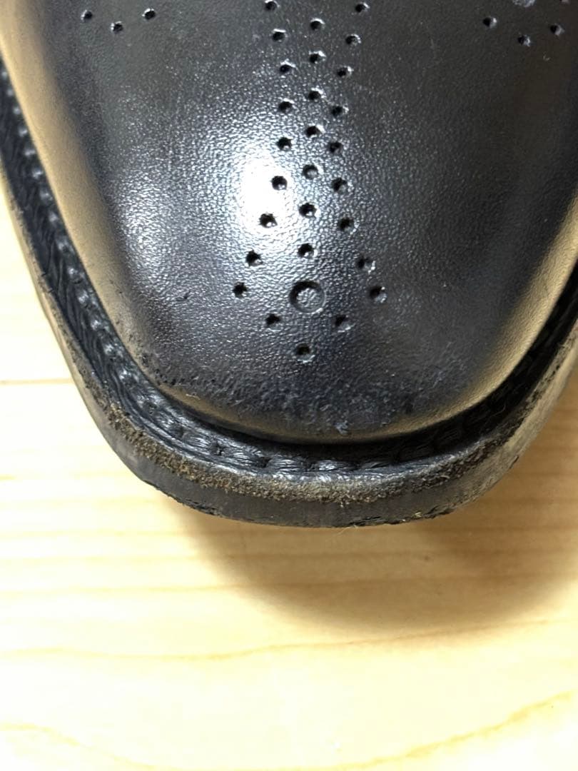 スコッチグレイン 2770 E シャインオアレイン　26cm