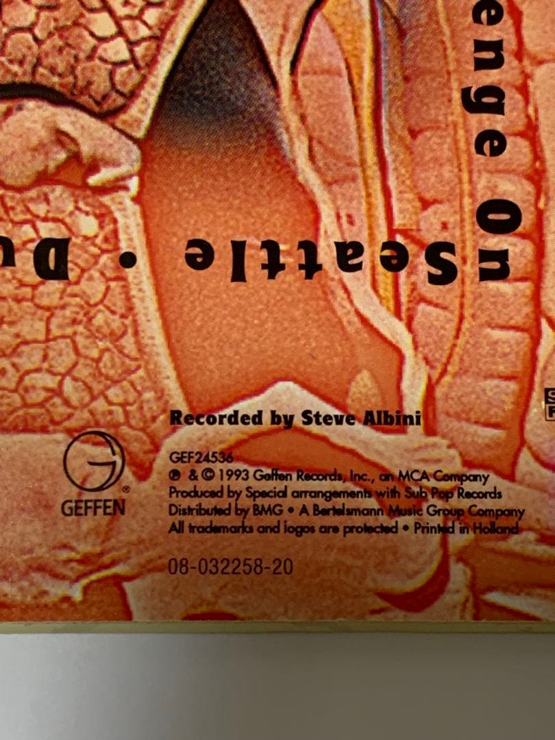 1993年　Nirvana In Utero レコード