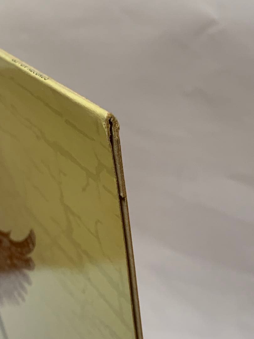 1993年　Nirvana In Utero レコード