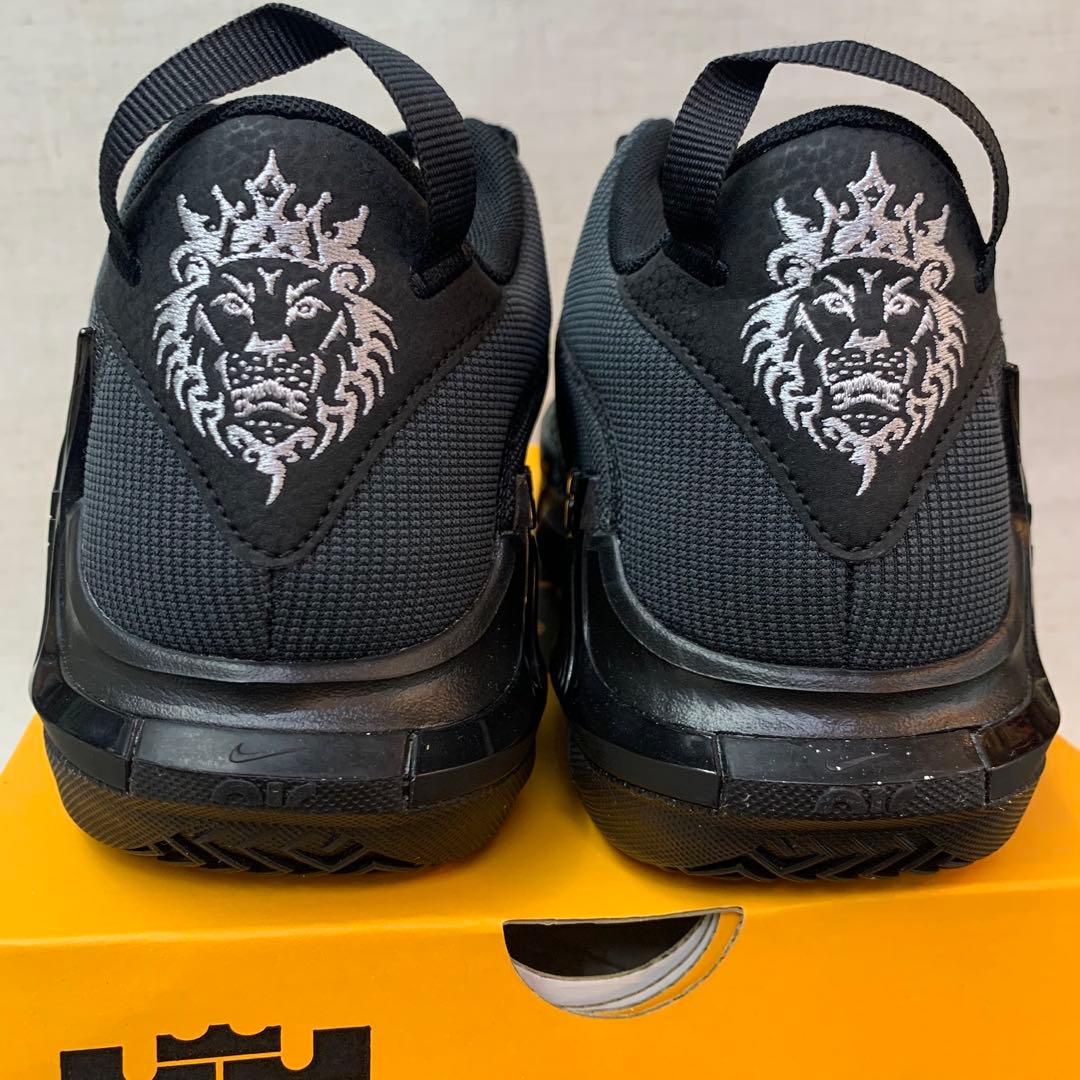 NIKE LEBRON WITNESS VII レブロン ウィットネス7