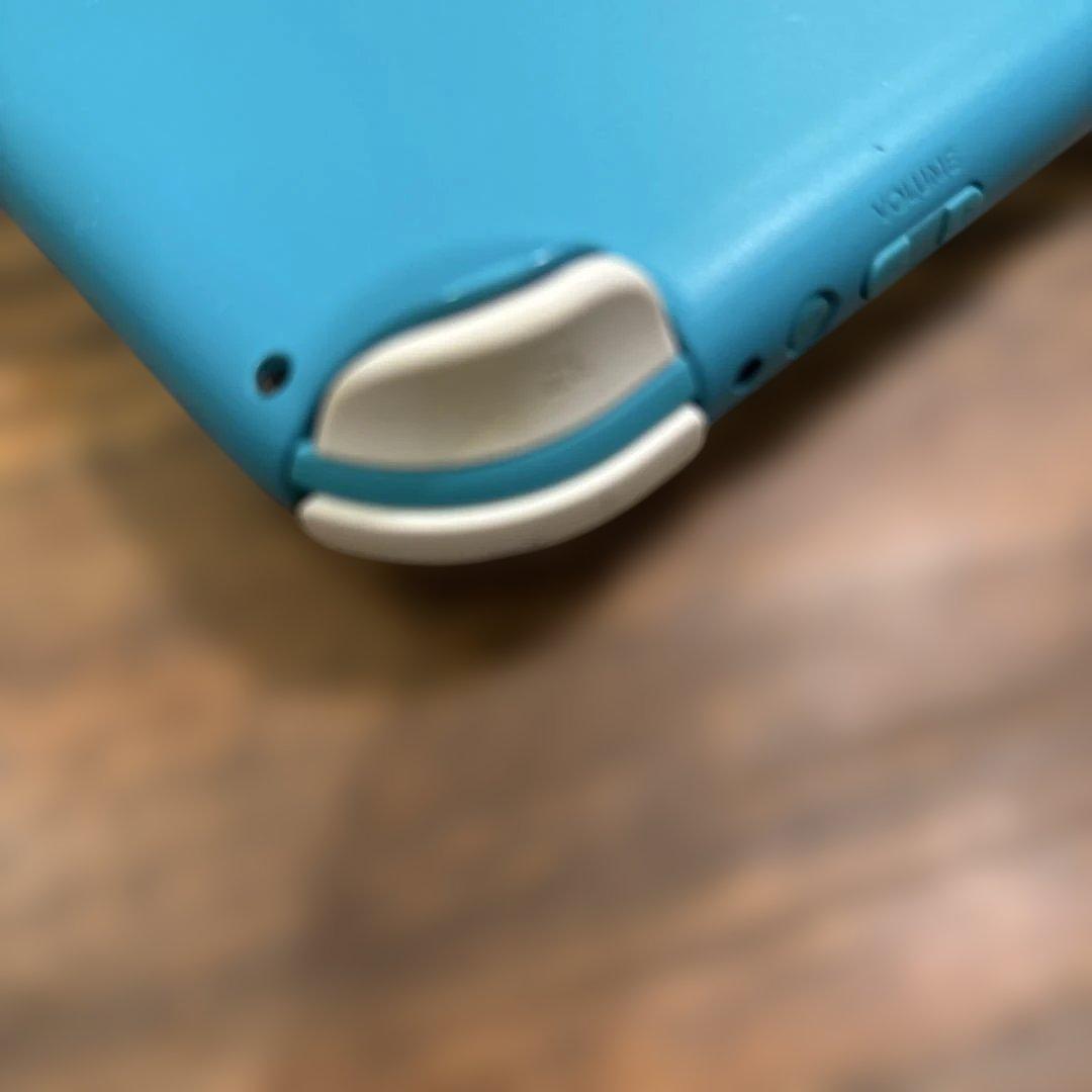 要確認！Nintendo Switch Lite