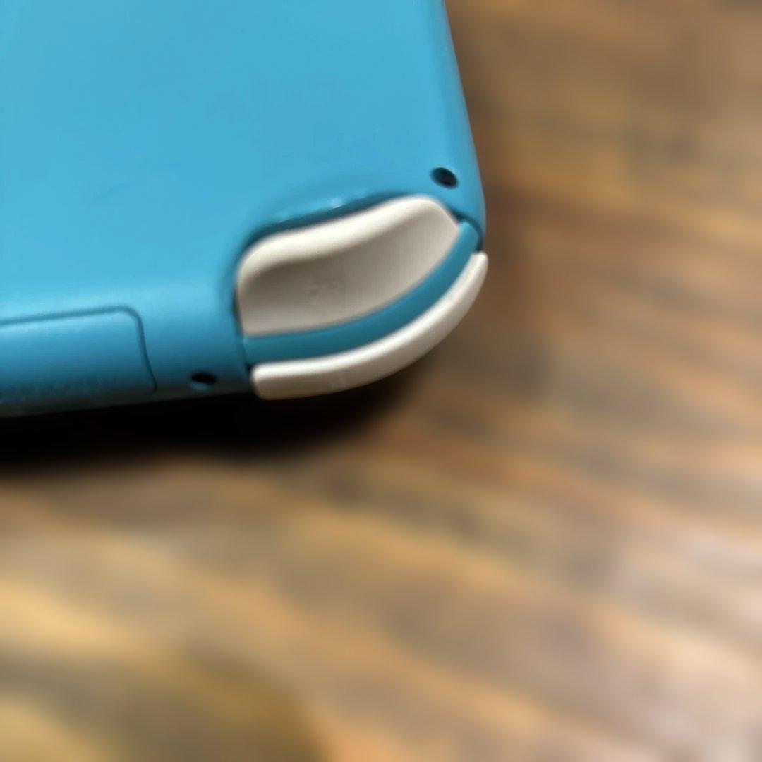 要確認！Nintendo Switch Lite