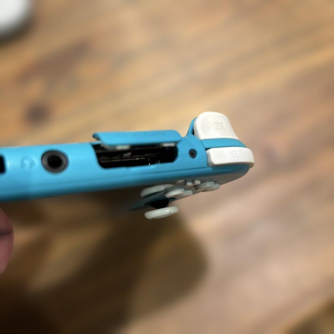 要確認！Nintendo Switch Lite