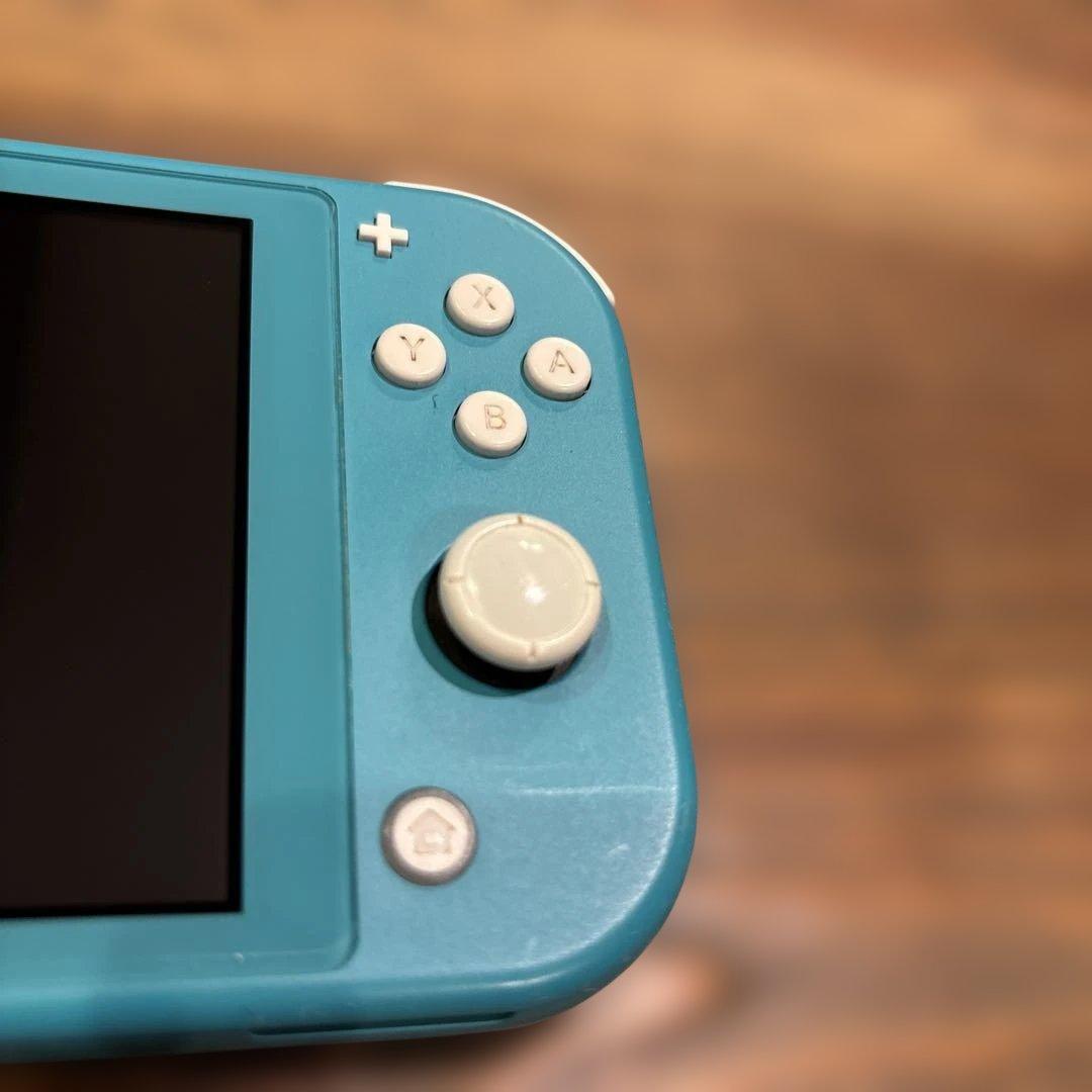 要確認！Nintendo Switch Lite