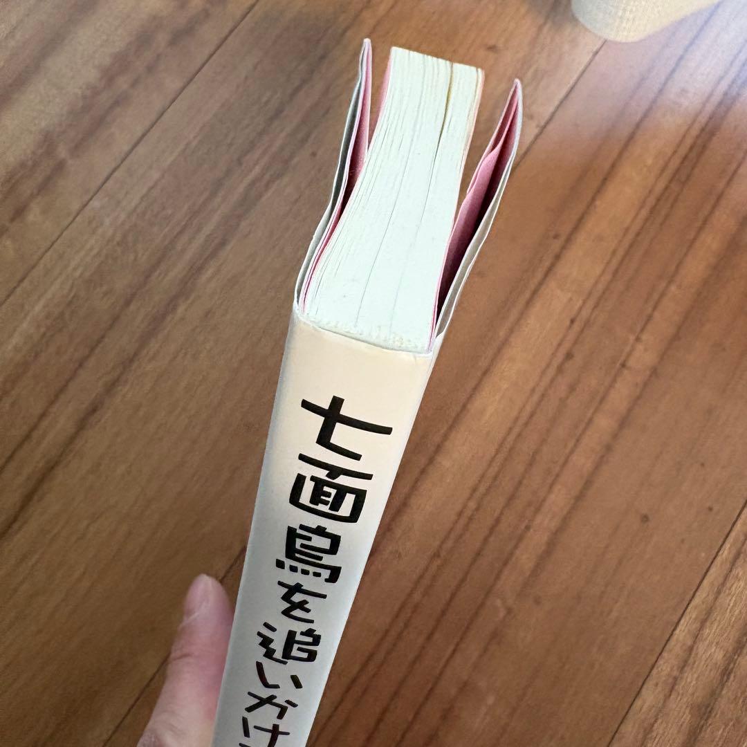 七面鳥を追いかけて