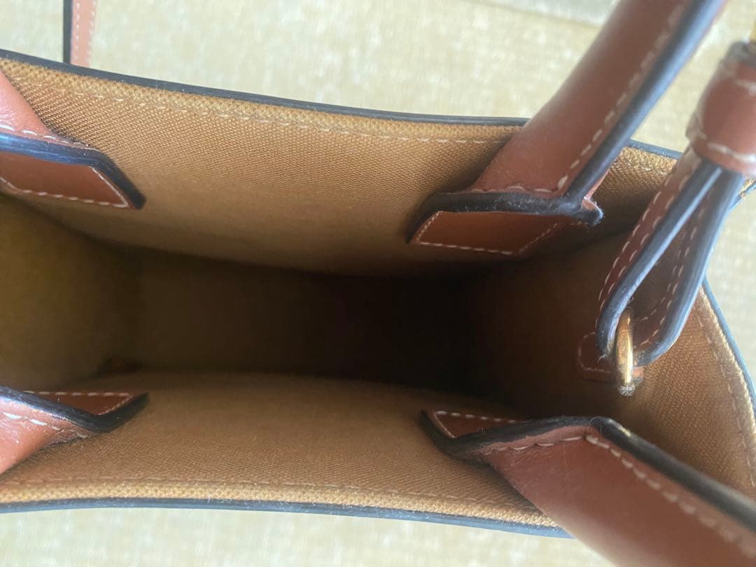 セリーヌ トリオンフ ミニバーティカルカバ