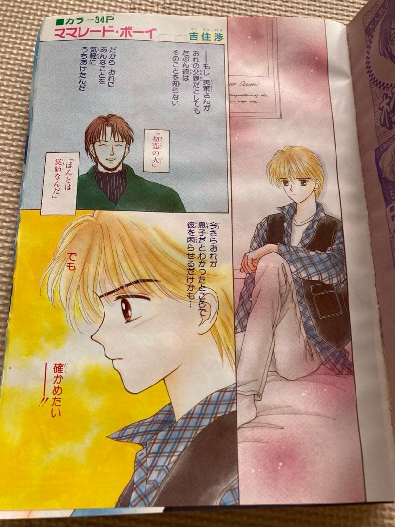 りぼん 1995年2 付録　無　ちびまる子ちゃん 単行本未収録　ママレードボーイ