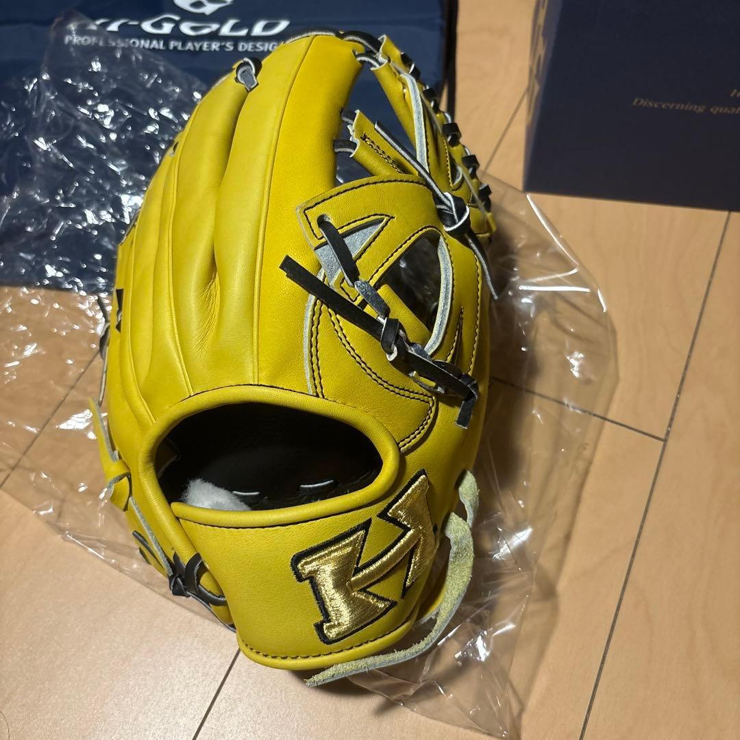 HI-GOLD ハイゴールド　右投硬式　技極　オールポジション用　定価60500