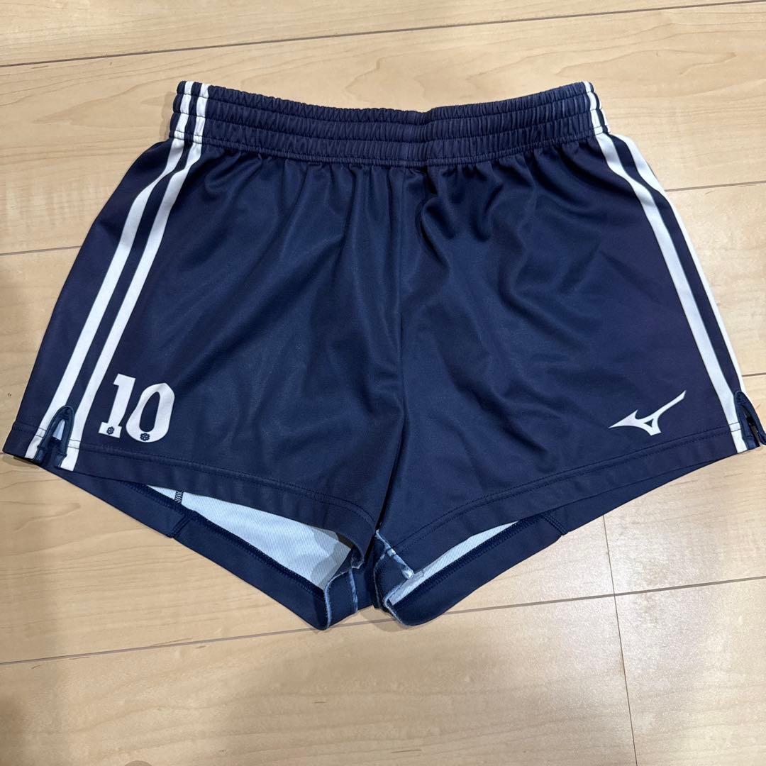 日本体育大学バレーボールゲーパン