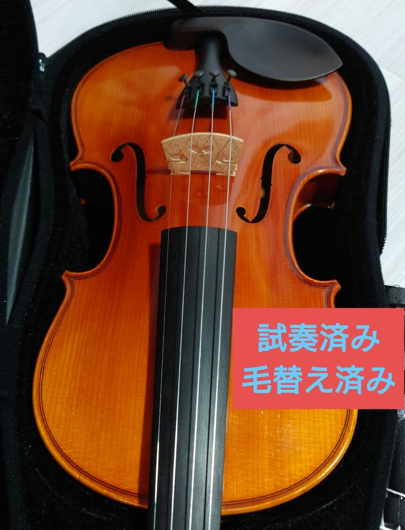 Eastman Strings VL80 バイオリン 4/4 ケース、弓、松脂付