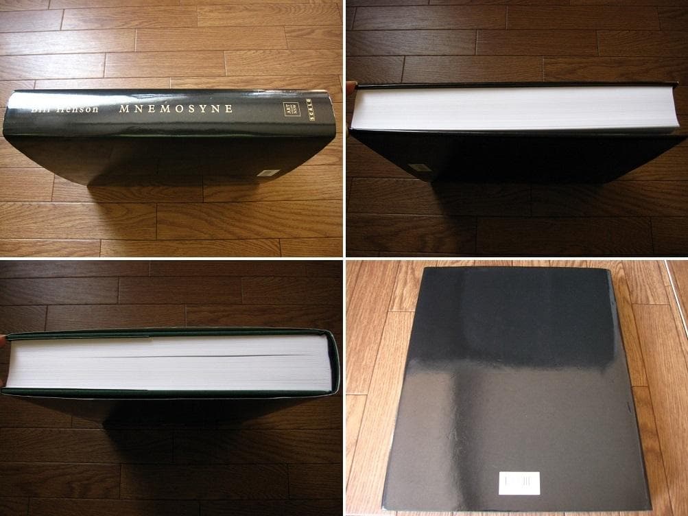 MNEMOSYNE　Bill Hensen　ビル・ヘンソン