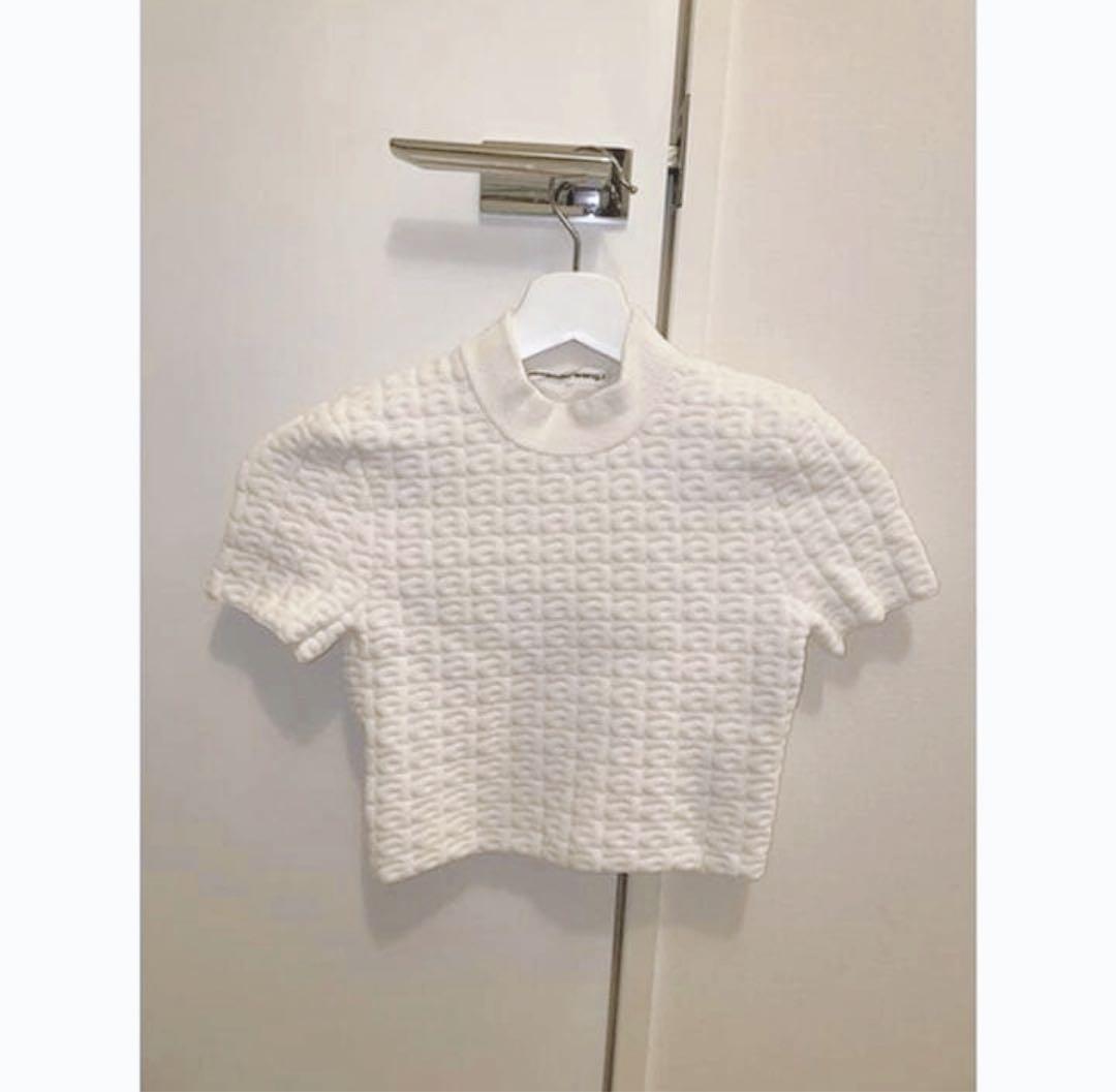 アレキサンダーワン ニットトップス　クロップド