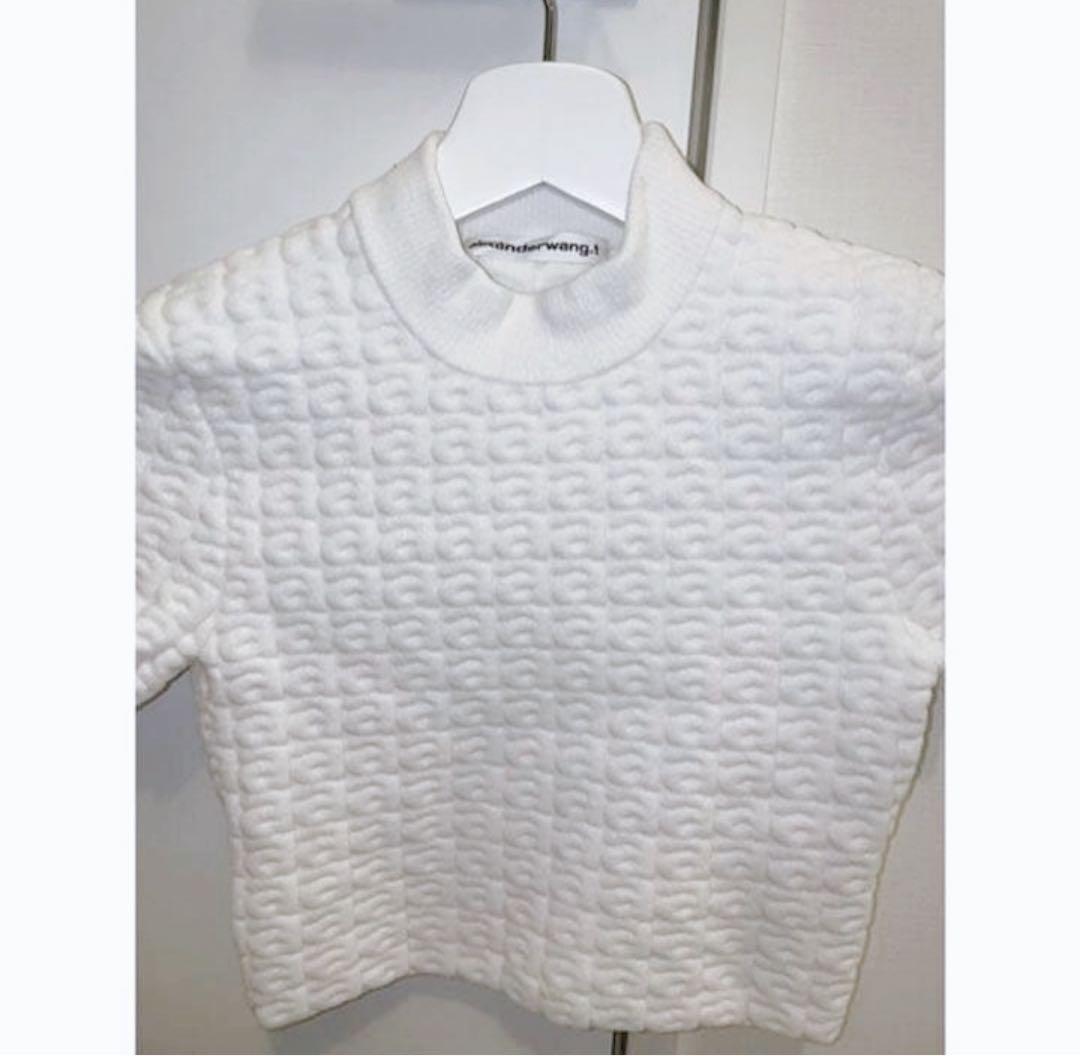 アレキサンダーワン ニットトップス　クロップド