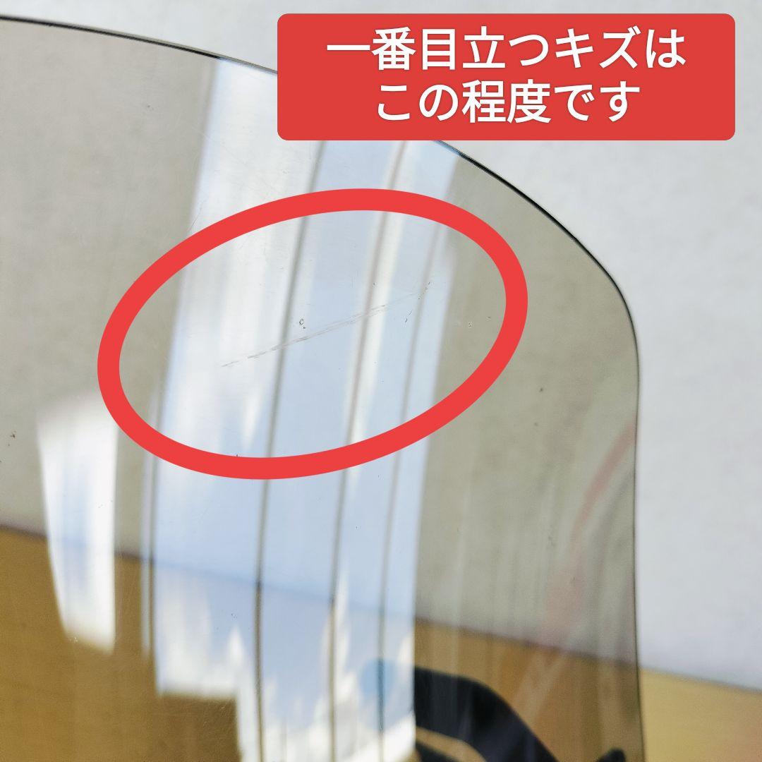 WR250X/R ワイズギア ミニスクリーン 生産終了品 DG15J バイザー