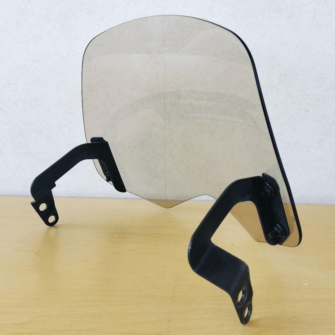 WR250X/R ワイズギア ミニスクリーン 生産終了品 DG15J バイザー