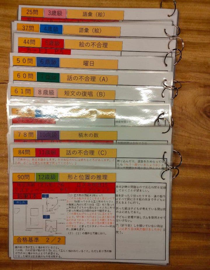 田中ビネー知能検査V　検査進行シート３歳級〜１２歳級セット