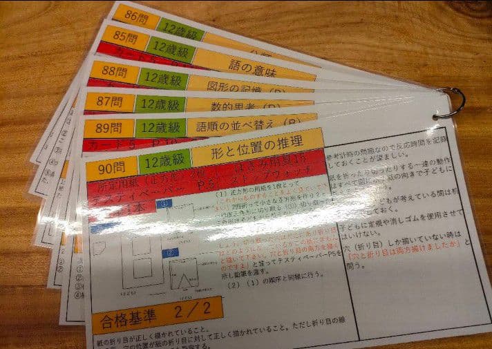 田中ビネー知能検査V　検査進行シート３歳級〜１２歳級セット