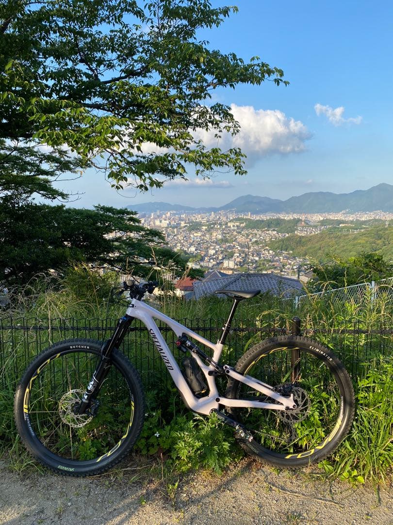 STUMPJUMPER EVO COMP 29 『S2』2021年