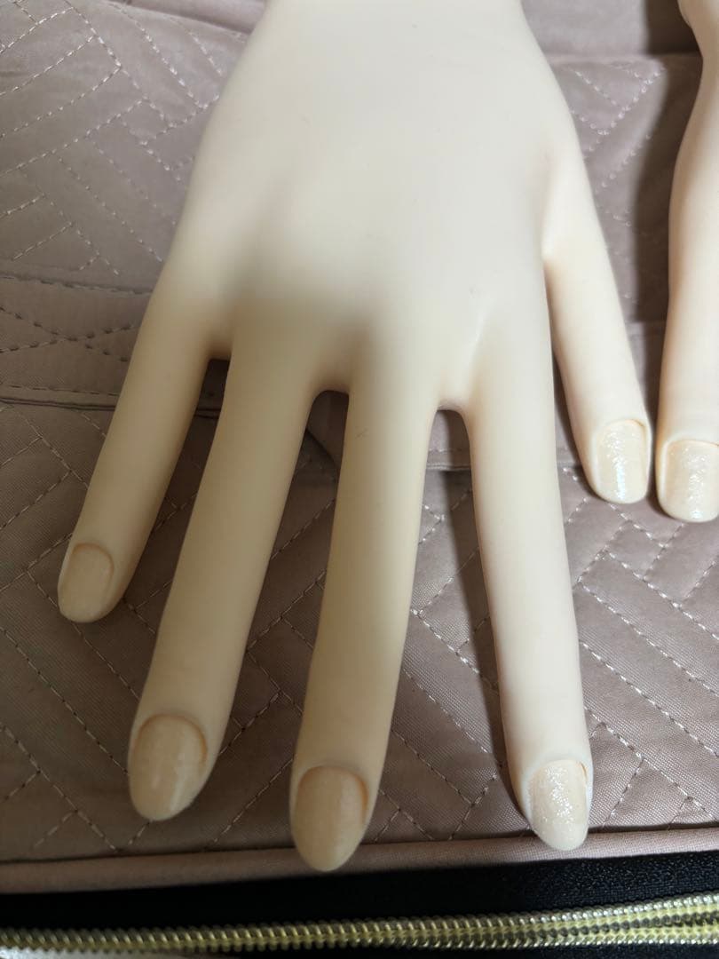 ネイルジェル検定セット　初級　中級　上級　資格　モデルハンド