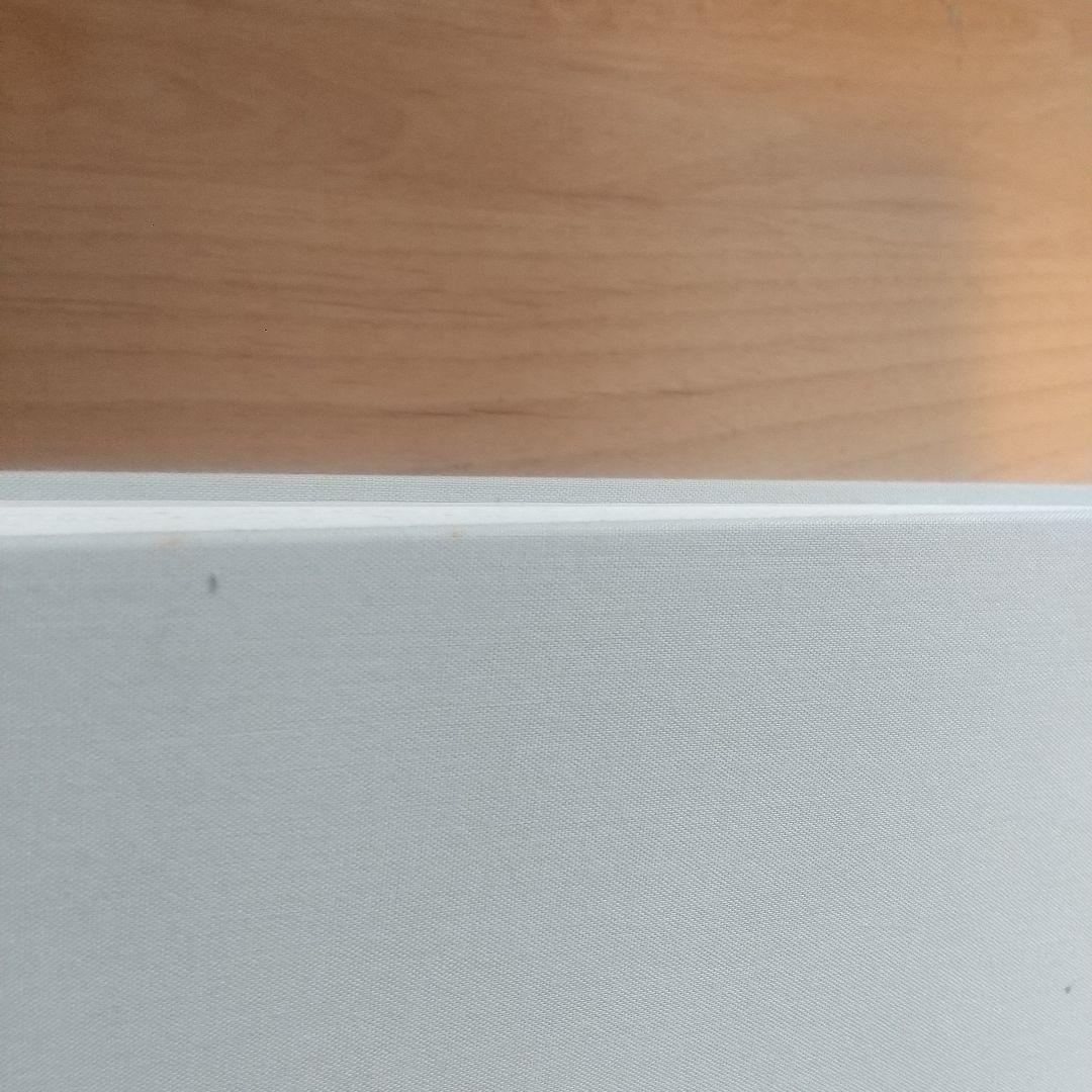 【卵さま専用】サイ・トゥオンブリーの写真 変奏のリリシズム　Cy Twombly