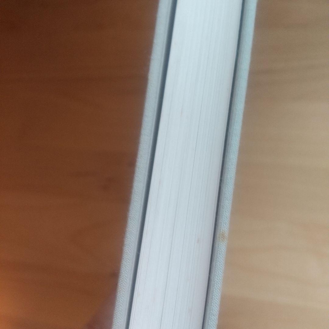 【卵さま専用】サイ・トゥオンブリーの写真 変奏のリリシズム　Cy Twombly