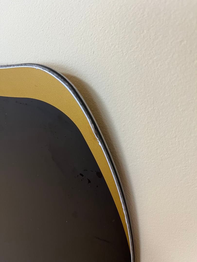 【24-25】November mountain fox158