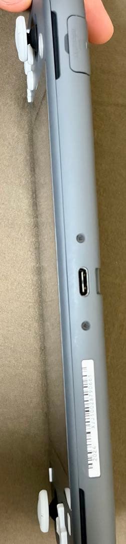 Nintendo Switch Lite グレー 本体のみ