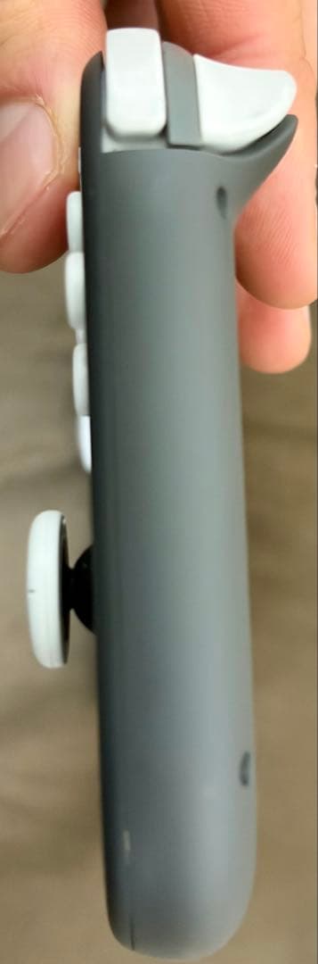 Nintendo Switch Lite グレー 本体のみ